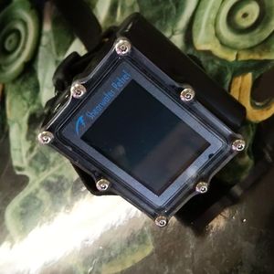 Shearwater Petrel ** attention scuba divers.